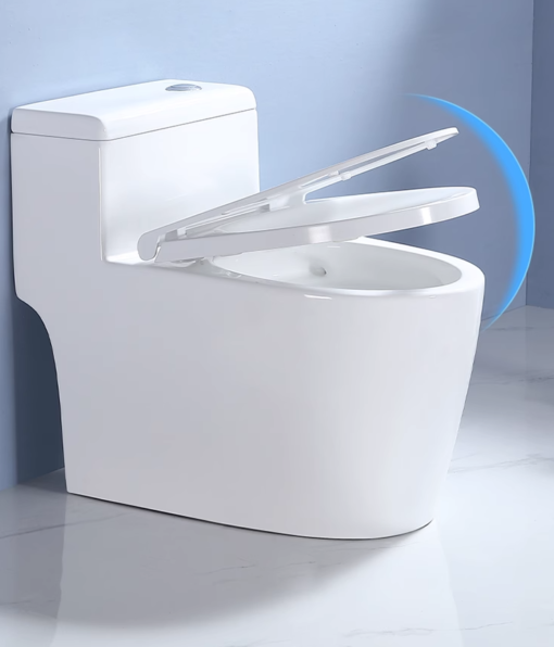 Bàn Cầu Một Khối BRIZER Công Nghệ Xã Xoáy Super Vortex BZ8910 - Hình ảnh 3