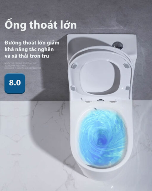 Bàn Cầu Một Khối BRIZER Công Nghệ Xã Xoáy Super Vortex BZ8906 - Hình ảnh 6