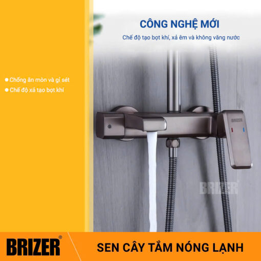 Sen Cây Thân Vuông Mạ Xám TiTan Brizer BZ6011 - Hình ảnh 4