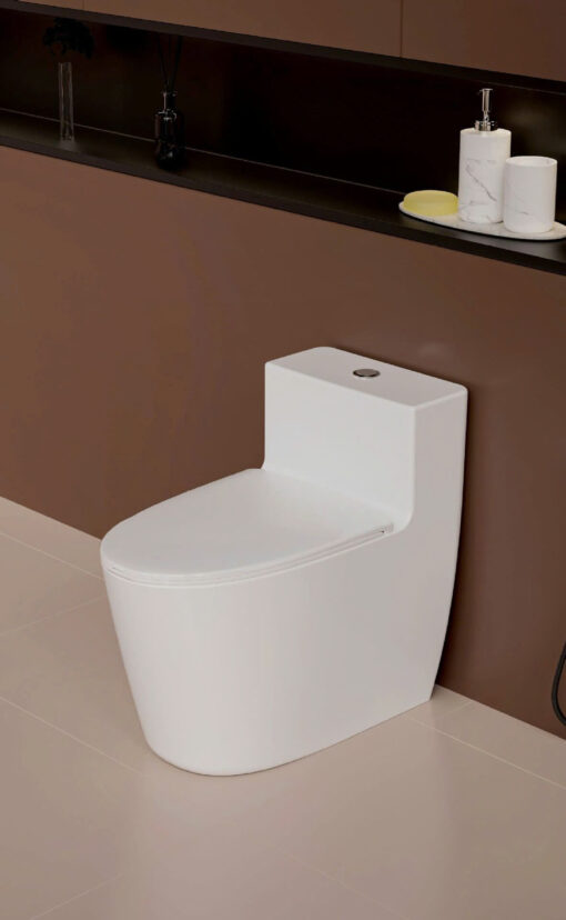 Bàn Cầu Một Khối BRIZER Công Nghệ Xã Xoáy Super Vortex BZ-8943 - Hình ảnh 3