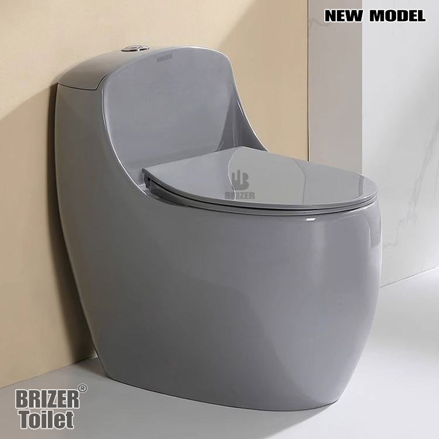 Bàn Cầu Trứng Xám BRIZER Công Nghệ Xã Xoáy Super Vortex BZ-2888 ( New)